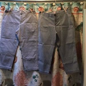 J. Jill Capris Size 12
